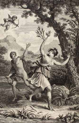 Ovidius Naso, Publius: Les métamorphoses d'Ovide Paris, 1806 Die Nymphe Daphne lässt sich lieber in einen Lorbeerbaum verwandeln als von Apoll lieben zu lassen.