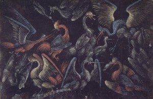 Graphische Sammlung: Kämpfende Reiher (Signatur: B 53)