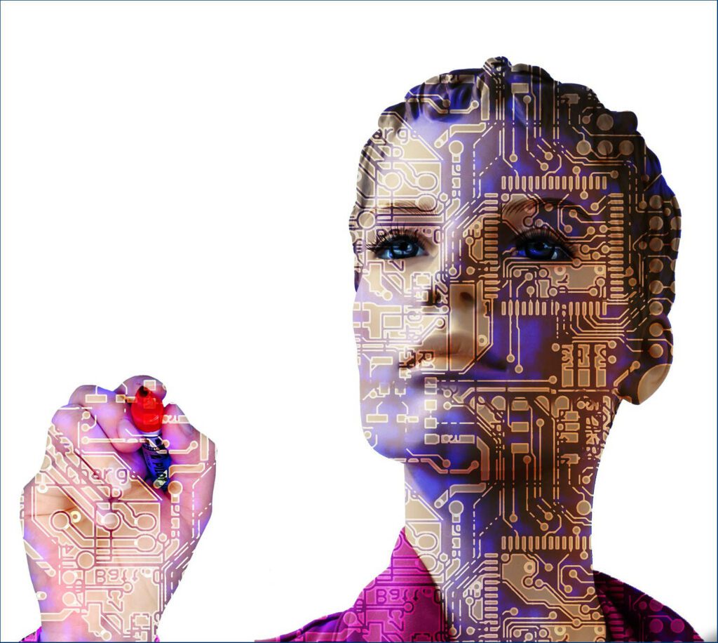 Digital Skills Hub