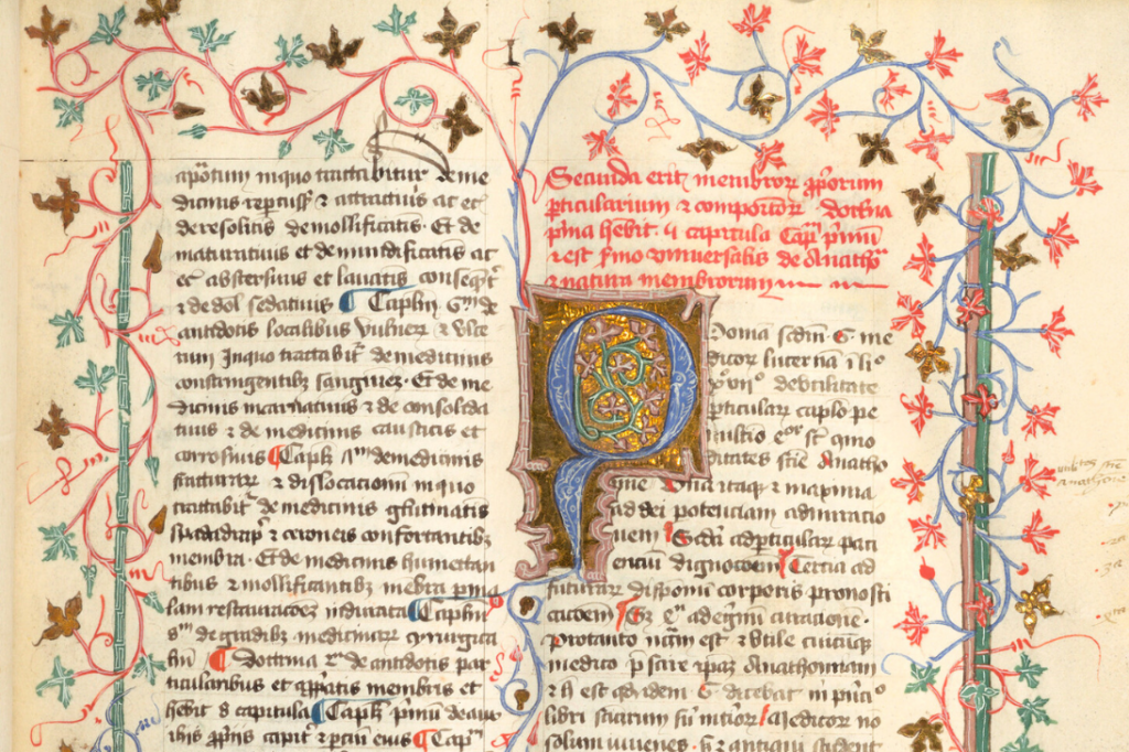 Seite aus einer mittelalterlichen Handschrift mit farbiger Initiale