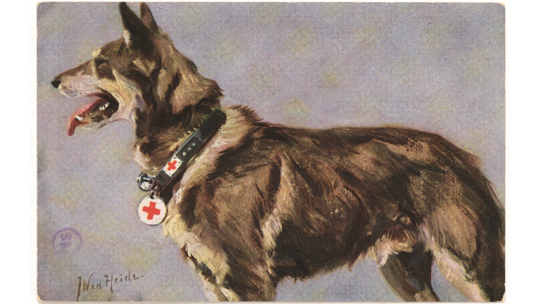 Beitragsbild für Weltkriegssammlung 1914/18