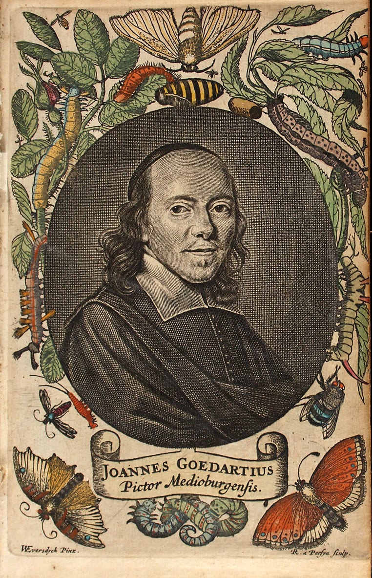 Johannes Goedart (1617-1668): Metamorphosis et historia naturalis insectorum - Middelburg, 1662