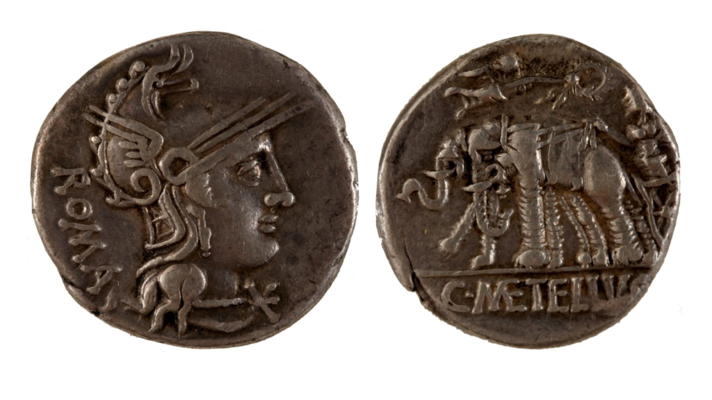 Other Special Collections