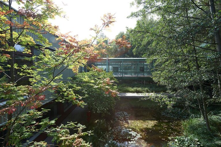 Beitragsbild für Teilbibliothek 10: Biologie (TB10)