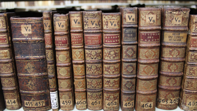 Featured image for Historical Collections