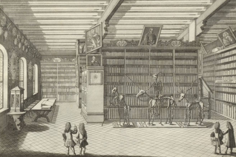 Featured image for Altdorf University Library