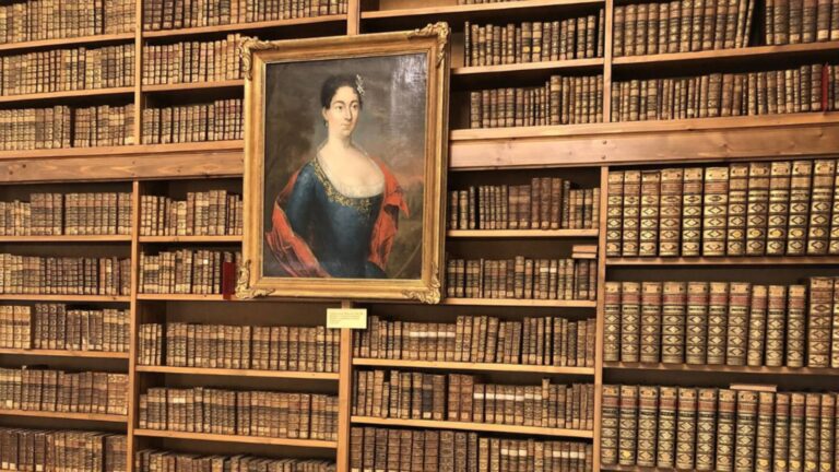 Beitragsbild für Fürstliche Bibliotheken