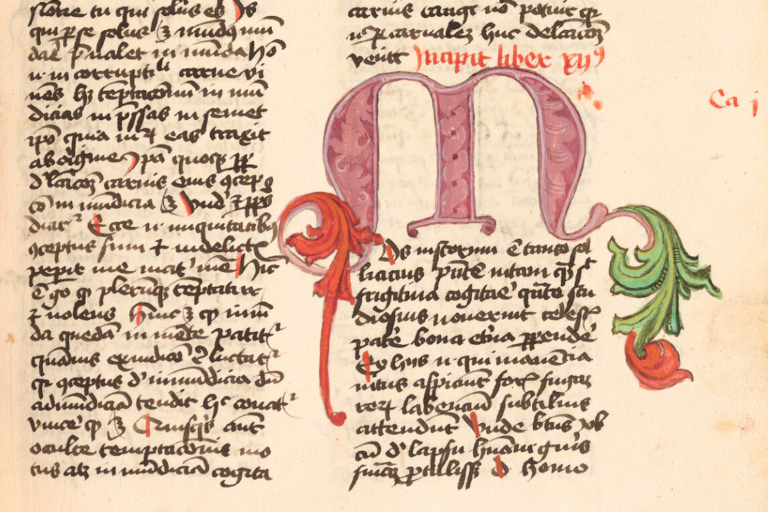 Digitalisierung der mittelalterlichen Handschriften der Klosterbibliotheken Heilsbronn und Sankt Jobst erfolgreich abgeschlossen