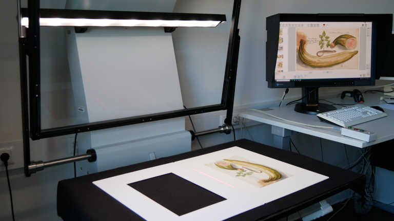 Digital Collections